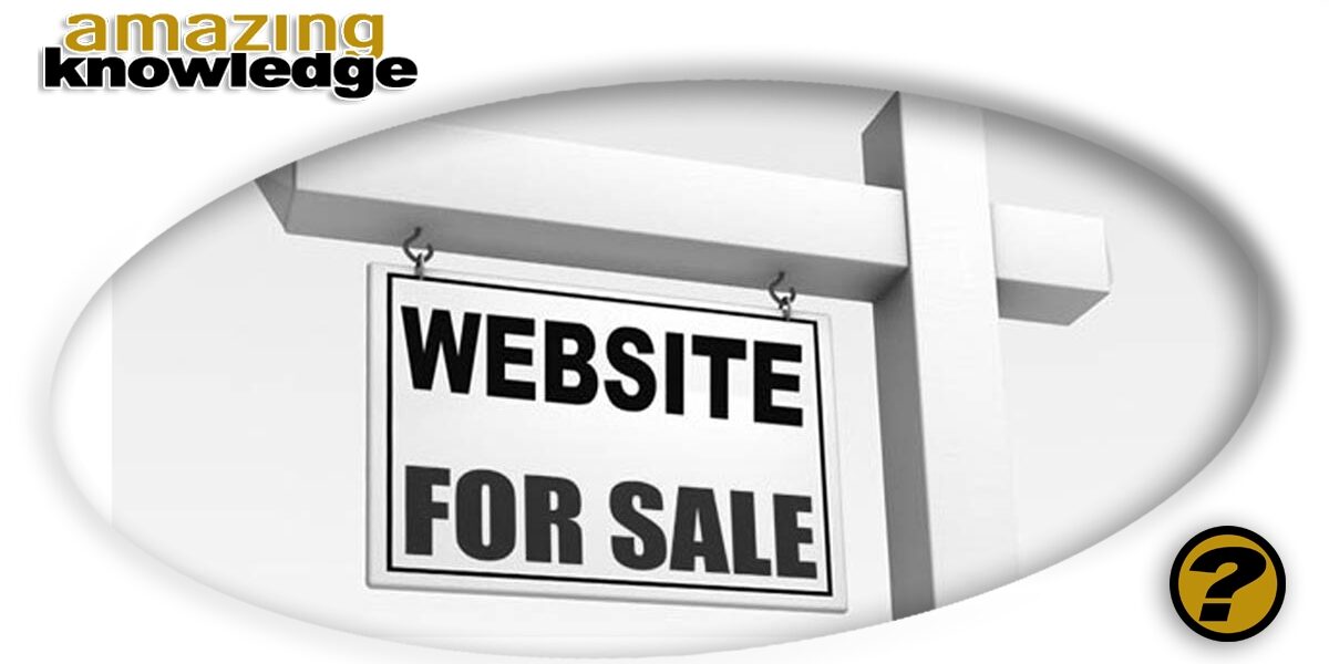 Buying-and-Selling-Websites-for-Profit