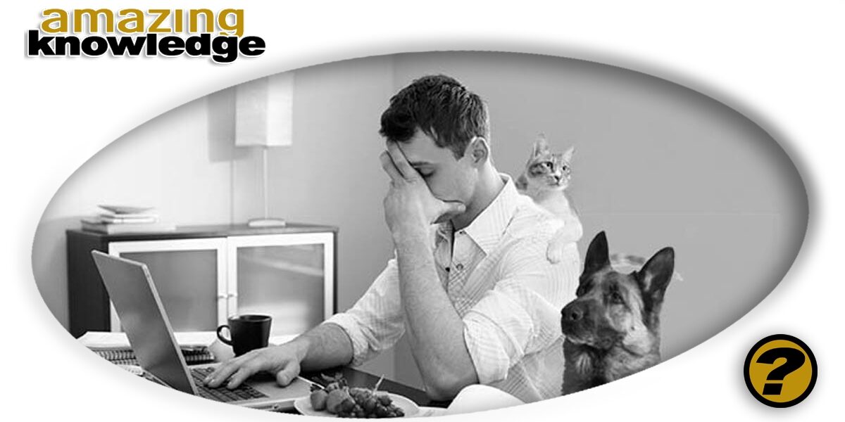 Should-You-Work-from-Home
